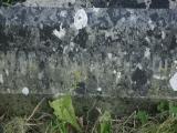 image of grave number 972900